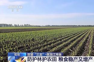 杨毅：哈登肯定不是快船头牌 但这个队要想厉害 就得哈登厉害才行